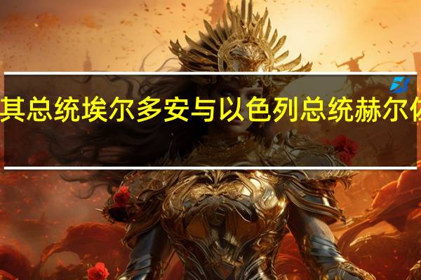 土耳其总统埃尔多安与以色列总统赫尔佐格通电话