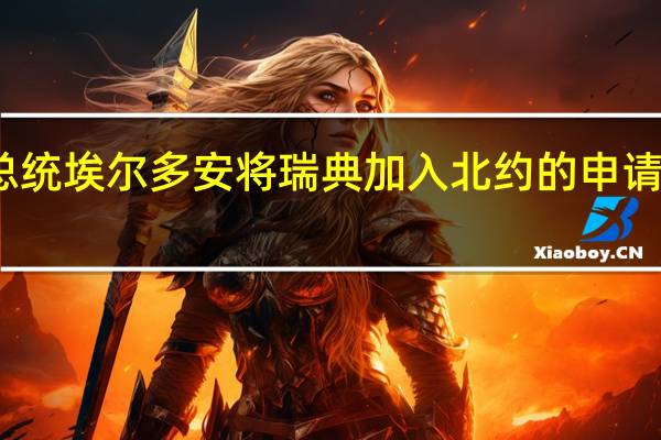 土耳其总统埃尔多安将瑞典加入北约的申请提交议会批准