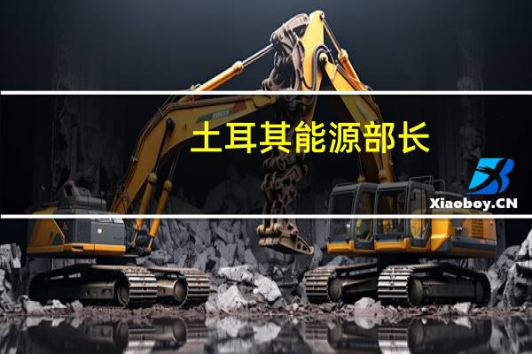 土耳其能源部长：土耳其是可靠的石油供应国家