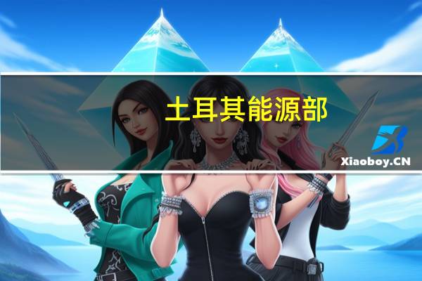 土耳其能源部：土耳其和伊拉克强调尽快恢复石油运输的重要性