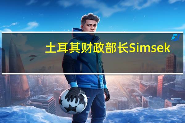 土耳其财政部长Simsek：允许土耳其里拉浮动在短期内会导致通货膨胀