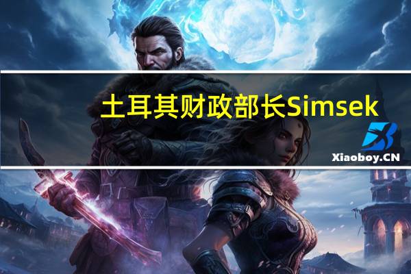 土耳其财政部长Simsek：埃尔多安对经济计划的支持是“全面而实质性的”