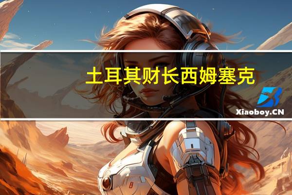 土耳其财长西姆塞克：全球金融环境明显收紧