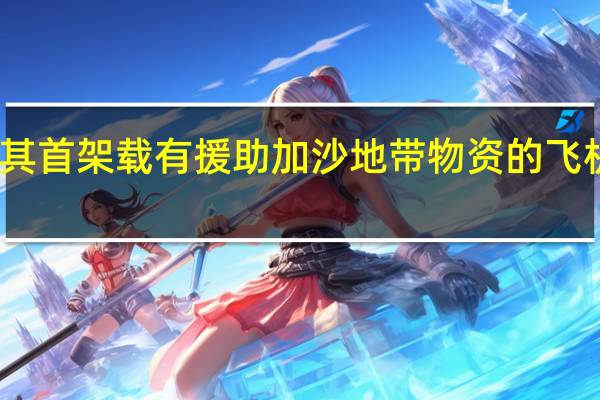 土耳其首架载有援助加沙地带物资的飞机抵达埃及