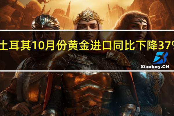土耳其10月份黄金进口同比下降37%至19.8亿美元