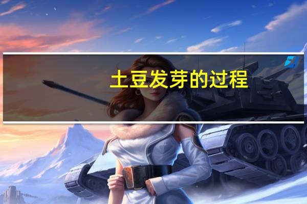 土豆发芽的过程