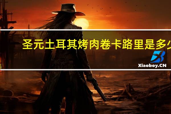 圣元 土耳其烤肉卷卡路里是多少