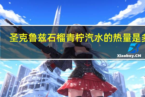 圣克鲁兹 石榴青柠汽水的热量是多少