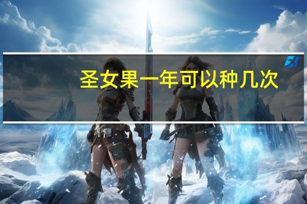 圣女果一年可以种几次