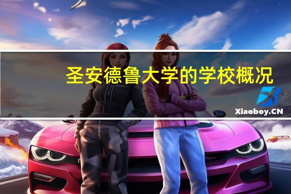 圣安德鲁大学的学校概况