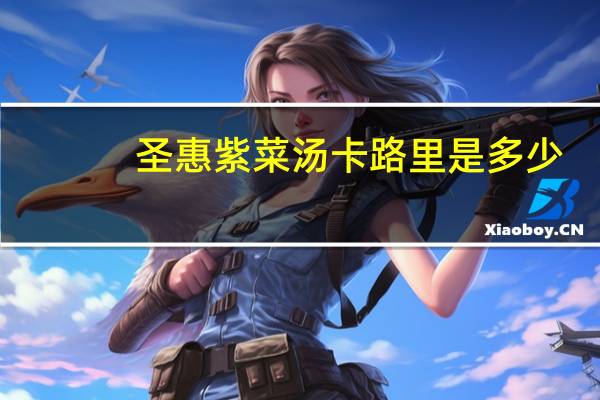 圣惠 紫菜汤卡路里是多少