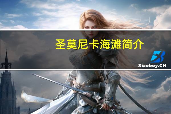 圣莫尼卡海滩简介（圣莫尼卡简介）