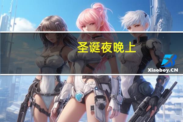 圣诞夜晚上（在圣诞夜见面）