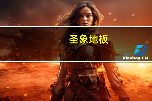 圣象地板（圣娼女）