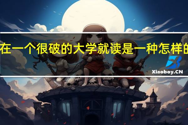 在一个很破的大学就读是一种怎样的体验