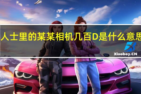 在一些专业摄影人士里的某某相机几百D是什么意思呢~我是菜鸟~求解释。