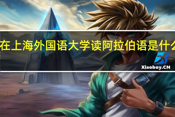 在上海外国语大学读阿拉伯语是什么体验
