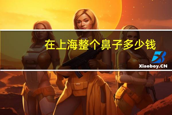 在上海整个鼻子多少钱?上海做鼻子哪里最好