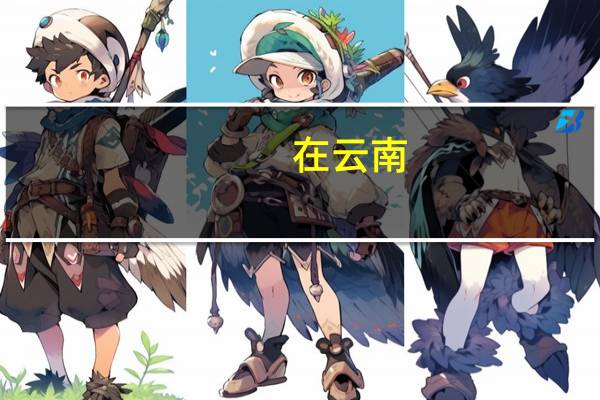 在云南，除了云大，其他哪个大学法学专业比较强