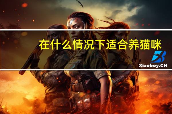 在什么情况下适合养猫咪