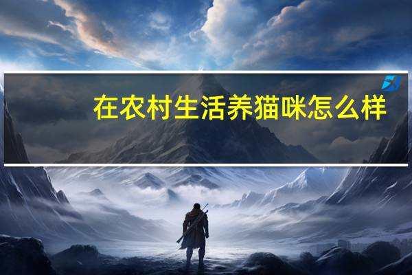 在农村生活养猫咪怎么样