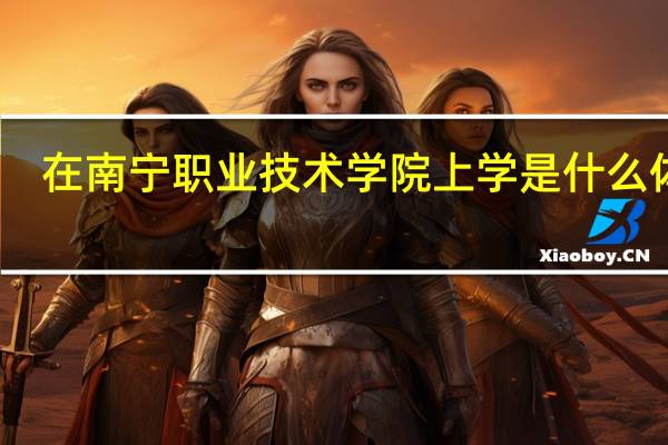 在南宁职业技术学院上学是什么体验