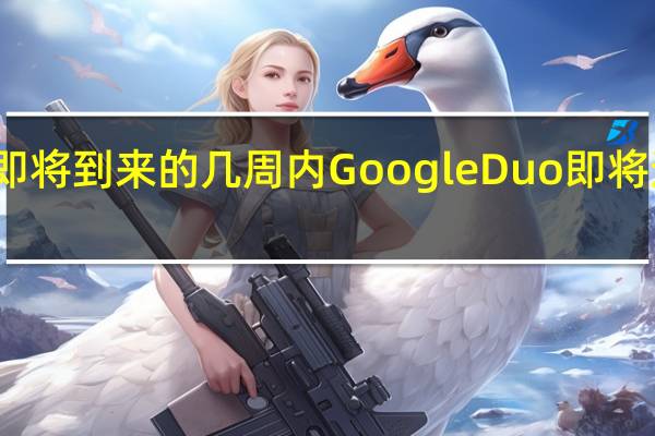 在即将到来的几周内 Google Duo即将进入网络