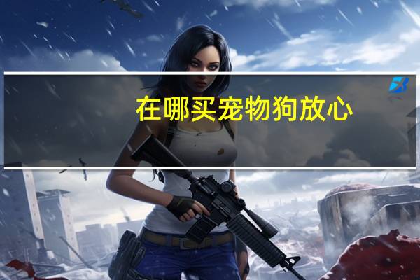 在哪买宠物狗放心