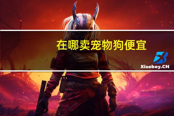 在哪卖宠物狗便宜