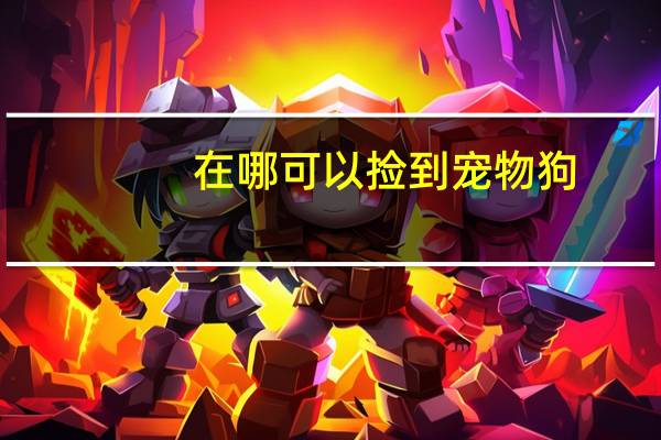 在哪可以捡到宠物狗