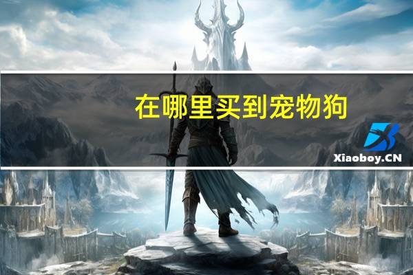 在哪里买到宠物狗