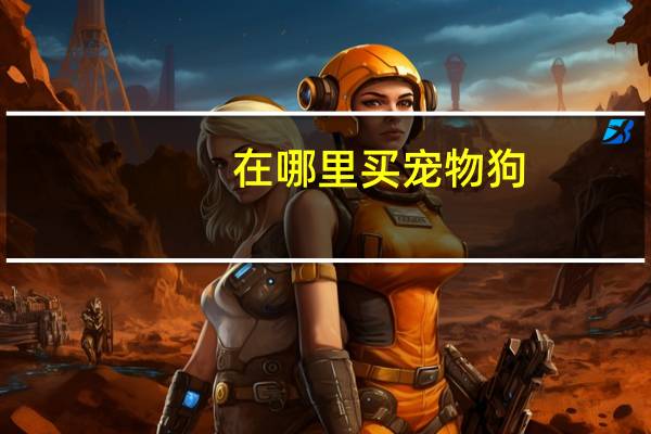 在哪里买宠物狗