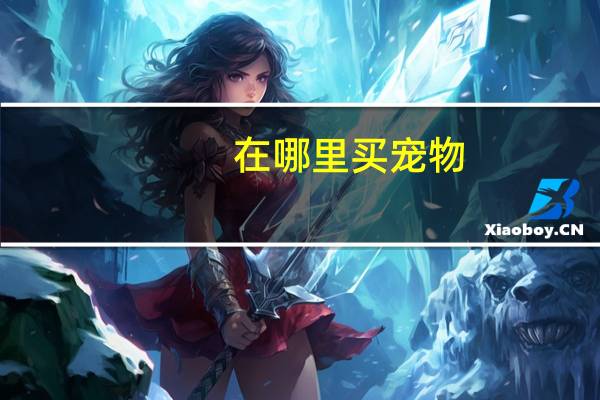 在哪里买宠物