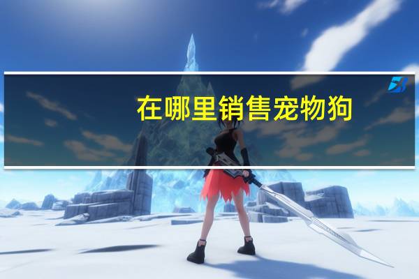 在哪里销售宠物狗