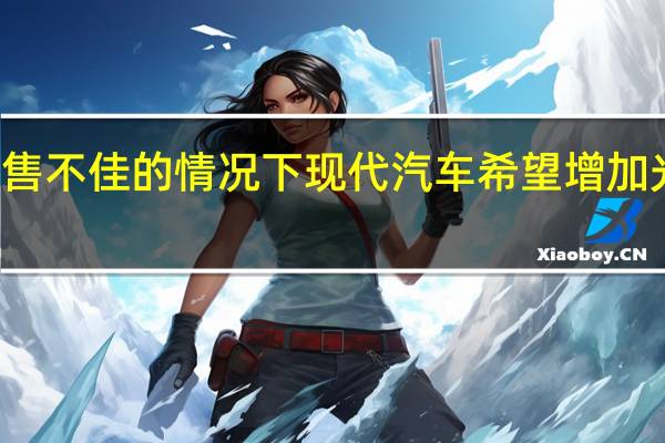 在国内销售不佳的情况下 现代汽车希望增加光伏产品的出口