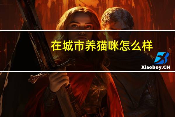 在城市养猫咪怎么样