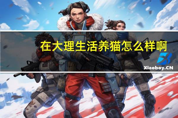 在大理生活养猫怎么样啊