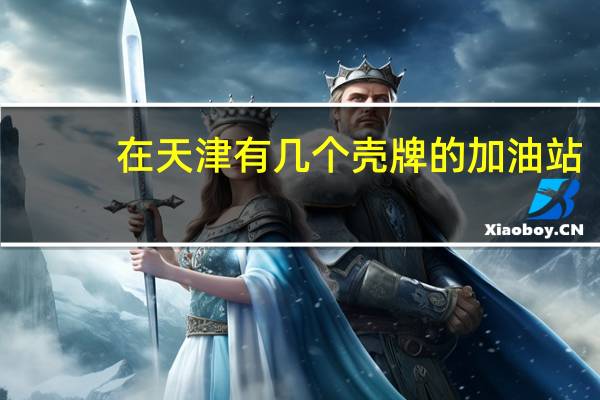 在天津有几个壳牌（Shell）的加油站？