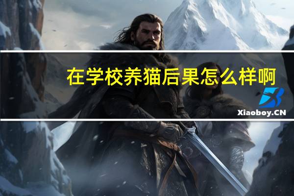 在学校养猫后果怎么样啊