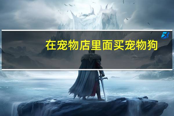 在宠物店里面买宠物狗