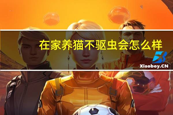 在家养猫不驱虫会怎么样