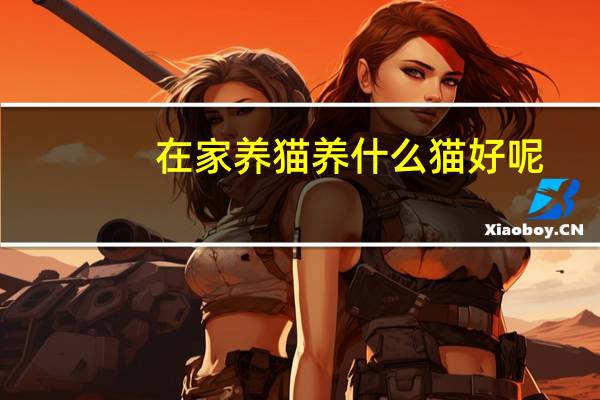 在家养猫养什么猫好呢