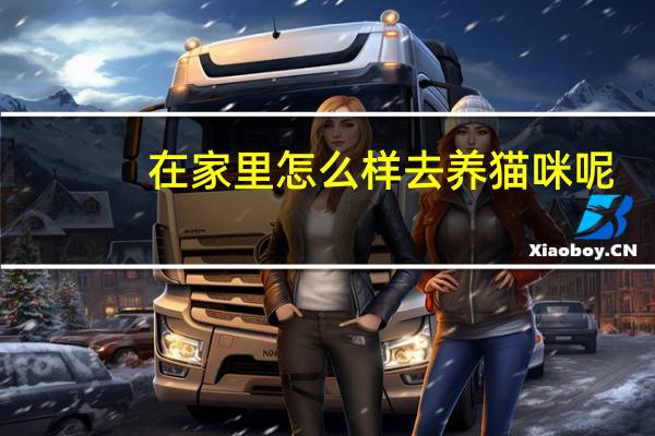 在家里怎么样去养猫咪呢