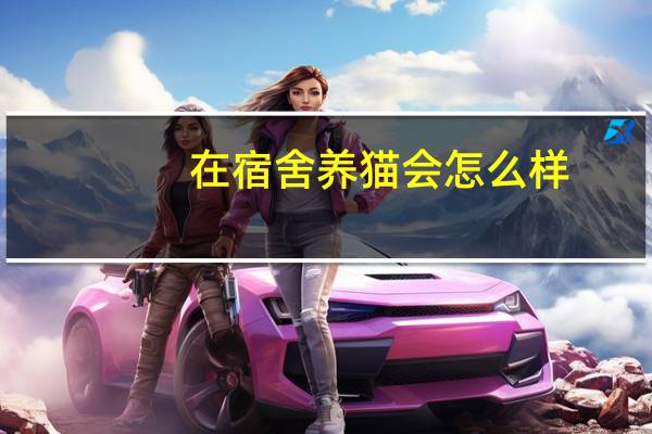 在宿舍养猫会怎么样