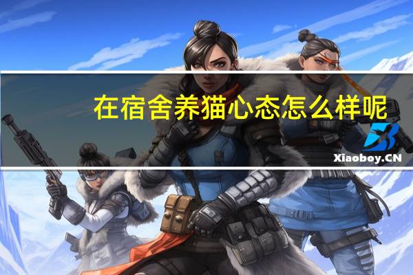 在宿舍养猫心态怎么样呢