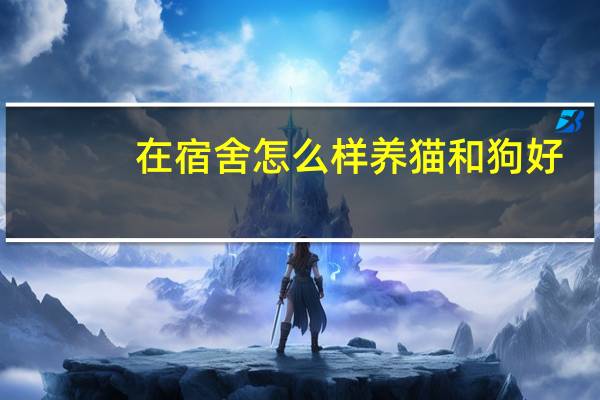 在宿舍怎么样养猫和狗好