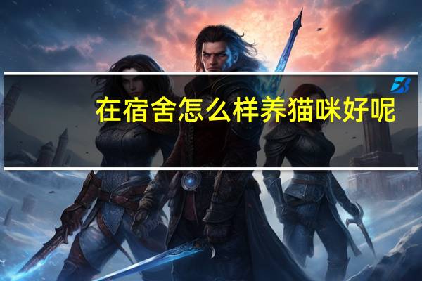 在宿舍怎么样养猫咪好呢