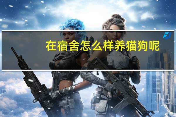 在宿舍怎么样养猫狗呢