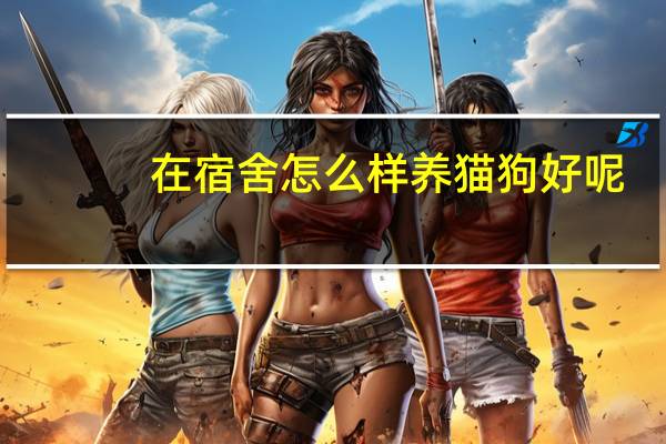 在宿舍怎么样养猫狗好呢