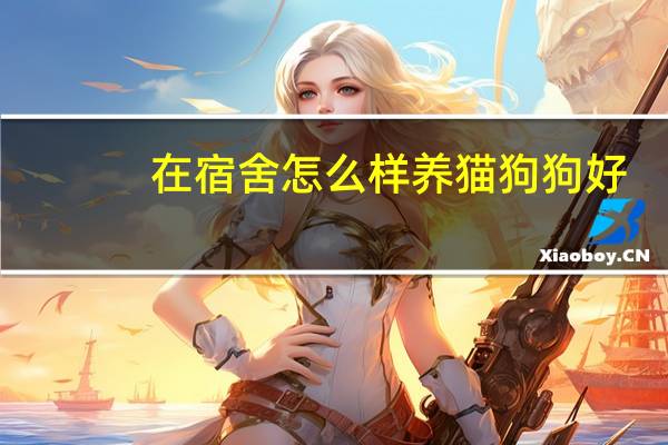 在宿舍怎么样养猫狗狗好
